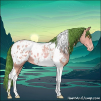 Horse Color:Watercolor Amber Champagne Tobiano Appaloosa 