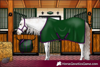 Horse Color:Chestnut Sabino Splash Blanket