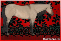 Horse Color:Brown Dun