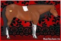 Horse Color:Bay Tobiano 
