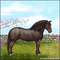 Horse Color:Liver Chestnut  and Liver Chestnut 