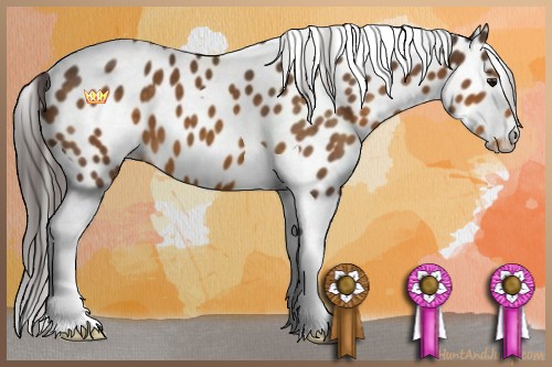 Horse Color:Buckskin Tobiano Leopard