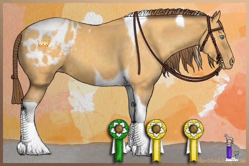 Horse Color:Amber Cream Champagne Tobiano Blanket