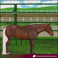 Horse Color:Silver Brown 