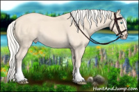 Horse Color:Cremello 