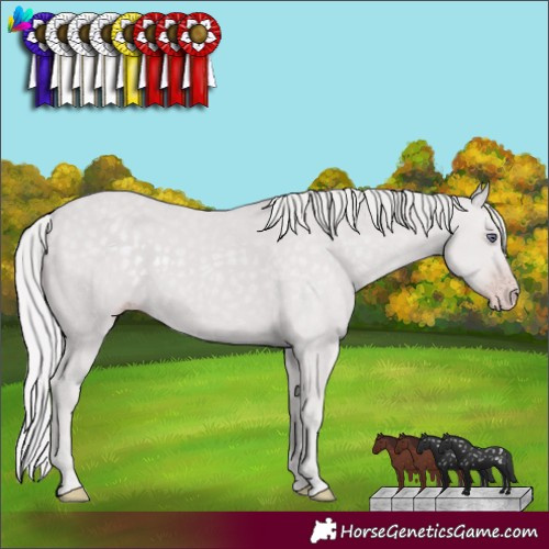 Horse Color:Chocolate Silver Classic Champagne Chinchilla 