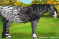 Horse Color:Brown Ice Frame 