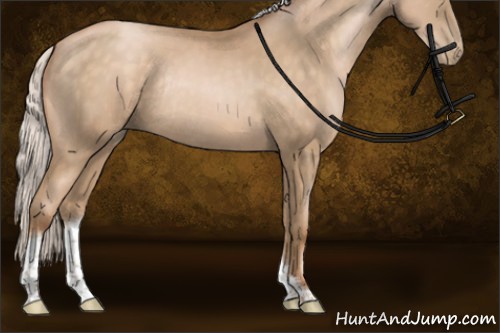 Horse Color:Silver Buckskin Pearl Tobiano Rabicano 