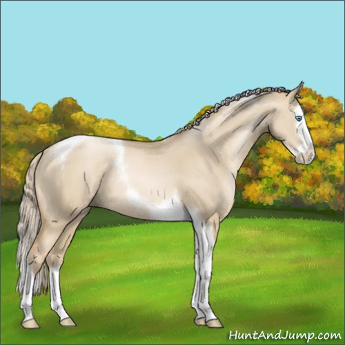Horse Color:Chocolate Palomino Pearl Dun Splash Tobiano Rabicano 