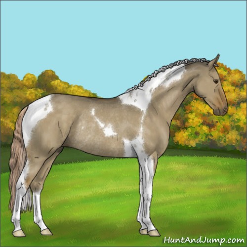 Horse Color:Chocolate Palomino Dun Tobiano Rabicano 