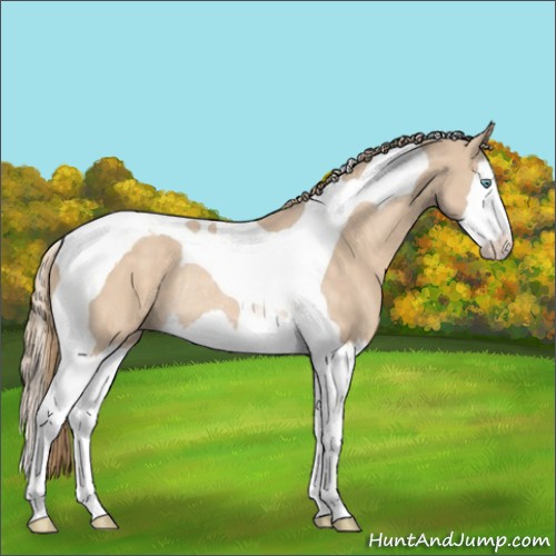 Horse Color:Perlino Splash Tobiano Rabicano 