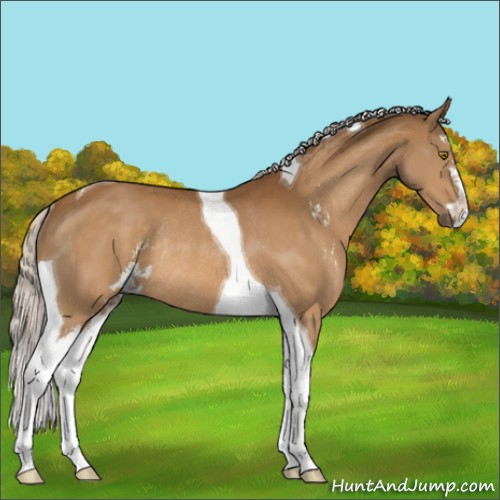 Horse Color:Silver Buckskin Sabino Tobiano Rabicano