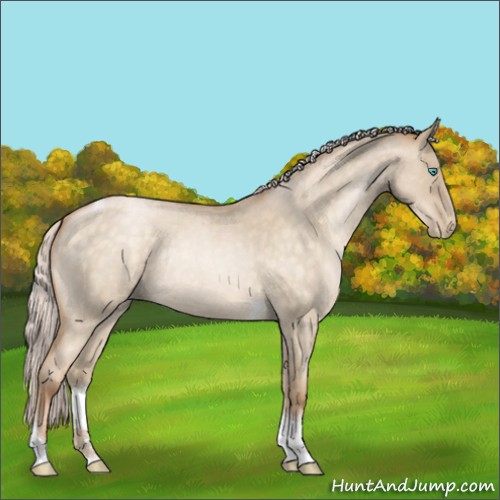 Horse Color:Silver Buckskin Roan Pearl Dun Tobiano Rabicano