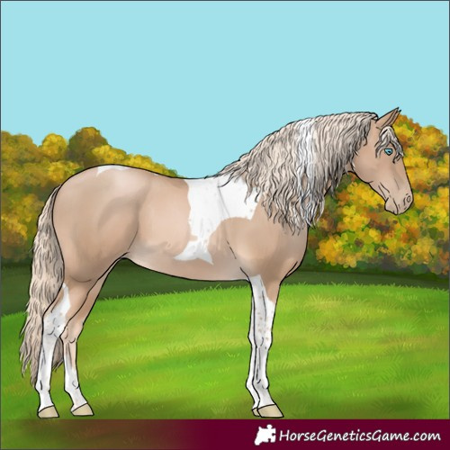 Horse Color:Chocolate Palomino Pearl Tobiano 