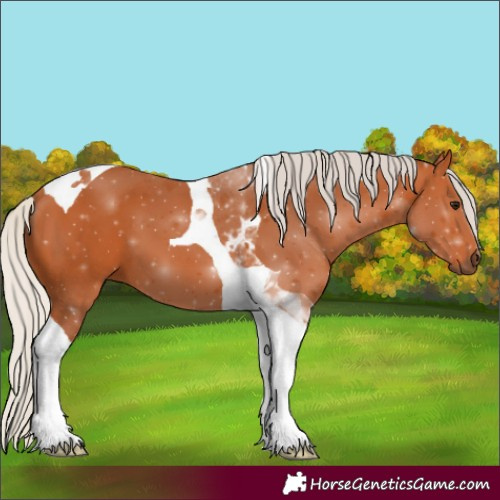 Horse Color:Silver Bay Tobiano