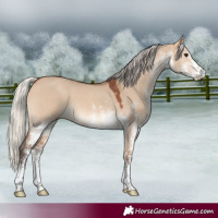 Horse Color:White Spotted Silver Brown Dun