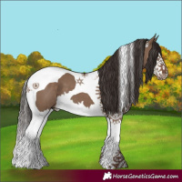 Horse Color:Liver Red Dun Splash Tobiano 