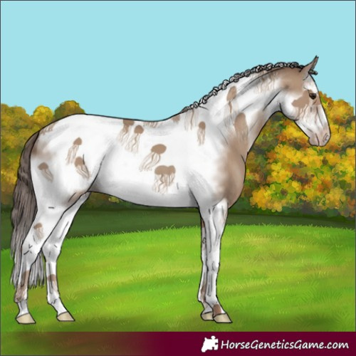 Horse Color:Classic Champagne Sabino Splash Tobiano Frame 
