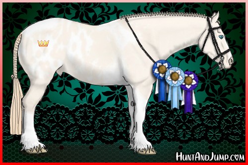 Horse Color:Perlino Dun Sabino Tobiano Appaloosa 