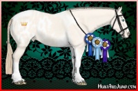 Horse Color:Perlino Dun Sabino Tobiano Appaloosa 