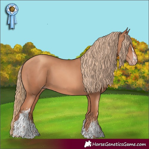 Horse Color:White Spotted Gold Champagne Tobiano 