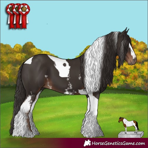 Horse Color:White Spotted Liver Chestnut Tobiano 