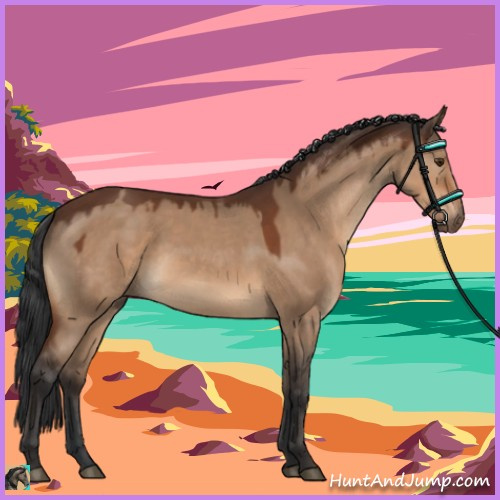 Horse Color:Bay Dun
