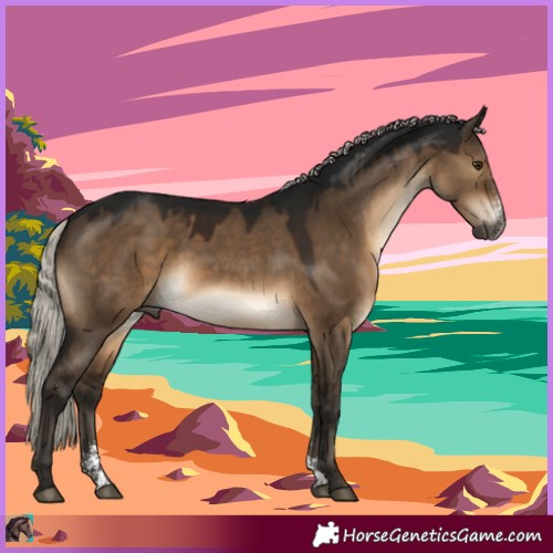 Horse Color:Gray Silver Brown Dun Sabino 