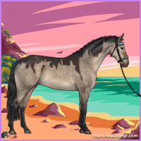 Horse Color:Brown Dun Sabino