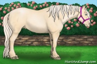 Horse Color:Palomino Pearl