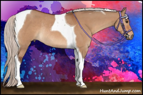 Horse Color:Silver Bay Dun Tobiano Rabicano 