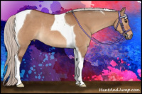 Horse Color:Silver Bay Dun Tobiano Rabicano 
