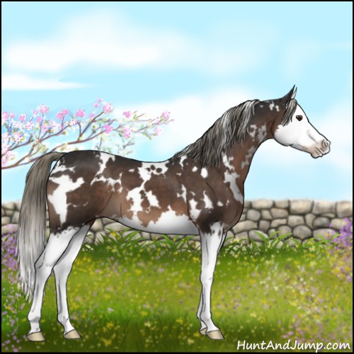 Horse Color:White Spotted Liver Chestnut Mushroom Splash 
