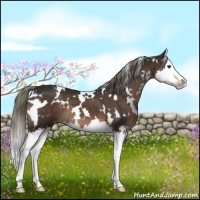 Horse Color:White Spotted Liver Chestnut Mushroom Splash 