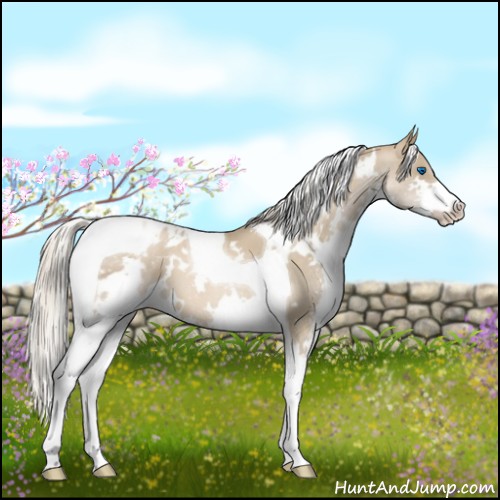 Horse Color:White Spotted Chocolate Palomino Pearl Splash Tobiano Varnish