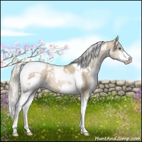 Horse Color:White Spotted Chocolate Palomino Pearl Splash Tobiano Varnish 