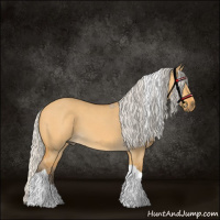 Horse Color:Silver Buckskin Dun Tobiano 