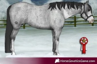 Horse Color:Blue Roan Sabino 