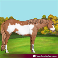 Horse Color:Chestnut Frame