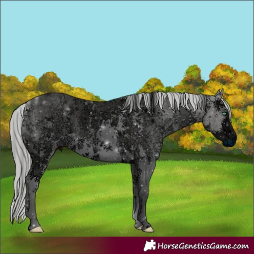 Horse Color:ERROR: UNKNOWN ANOMALY