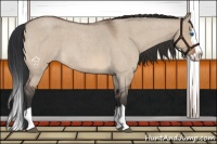 Horse Color:Bay Roan Dun Splash