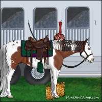 Horse Color:Brown Splash Tobiano 