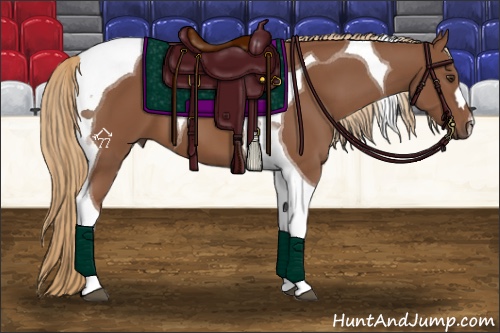 Horse Color:Chestnut Tobiano