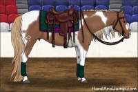 Horse Color:Chestnut Tobiano