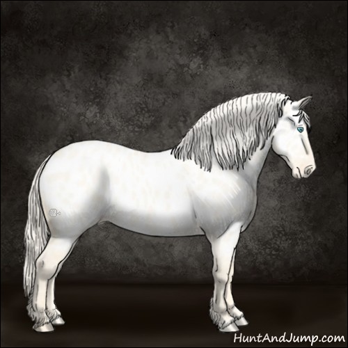 Horse Color:Cremello Dun Near Leopard 