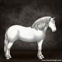 Horse Color:Cremello Dun Near Leopard 