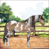 Horse Color:White Spotted Brown Dun Snowcap 
