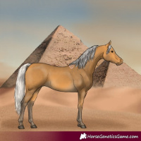 Horse Color:Silver Buckskin 