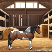 Horse Color:Bay Tobiano 