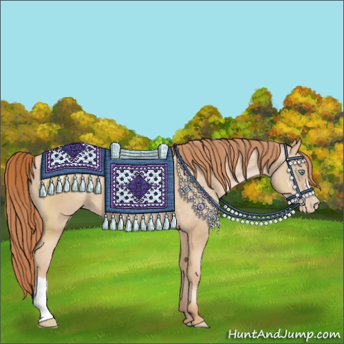 Horse Color:Buckskin Pearl